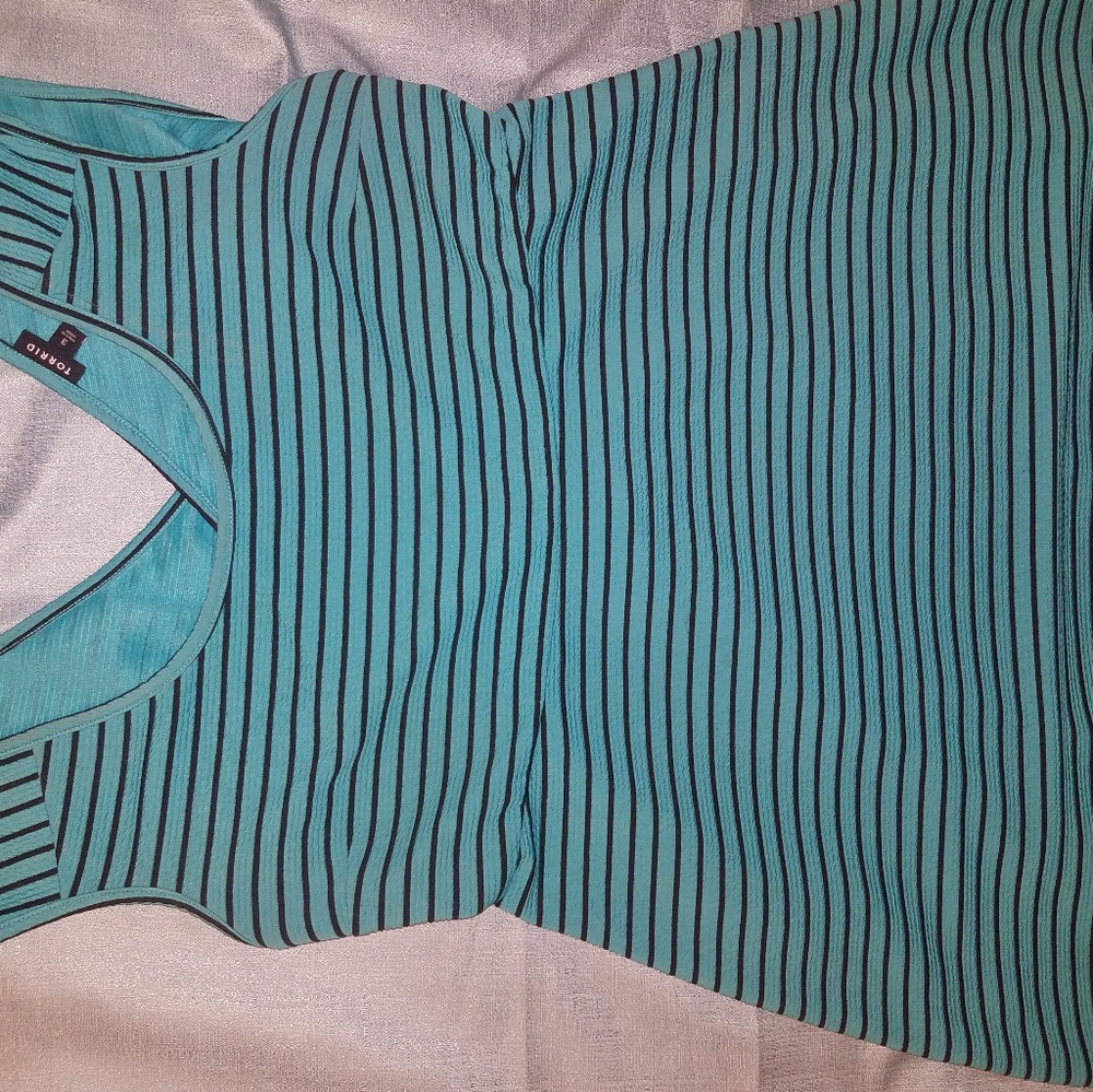 Torrid size 3